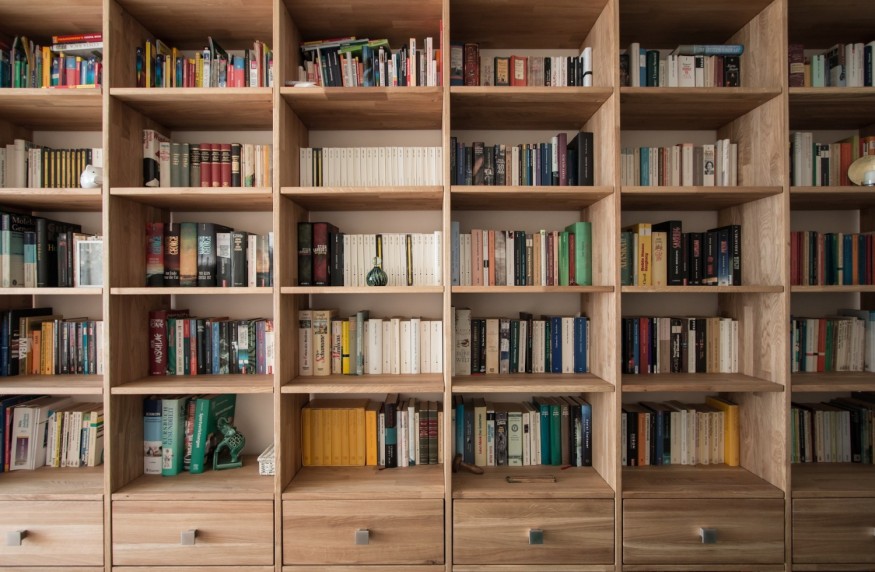 The Impact of BookTok Influencers: A Reading Revolution or Cause for Concern?