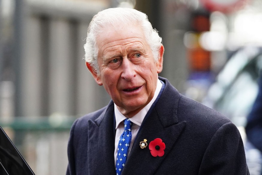 Buckingham Palace Condemns AI-Generated Books About King's Health Sold on Amazon