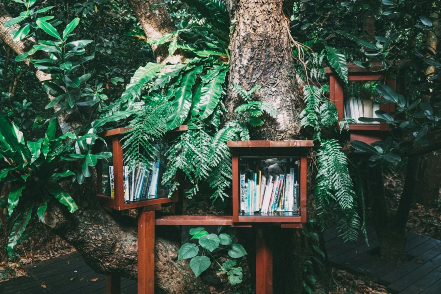 6 Earth Day Book Recommendations to Transform Your View of Nature