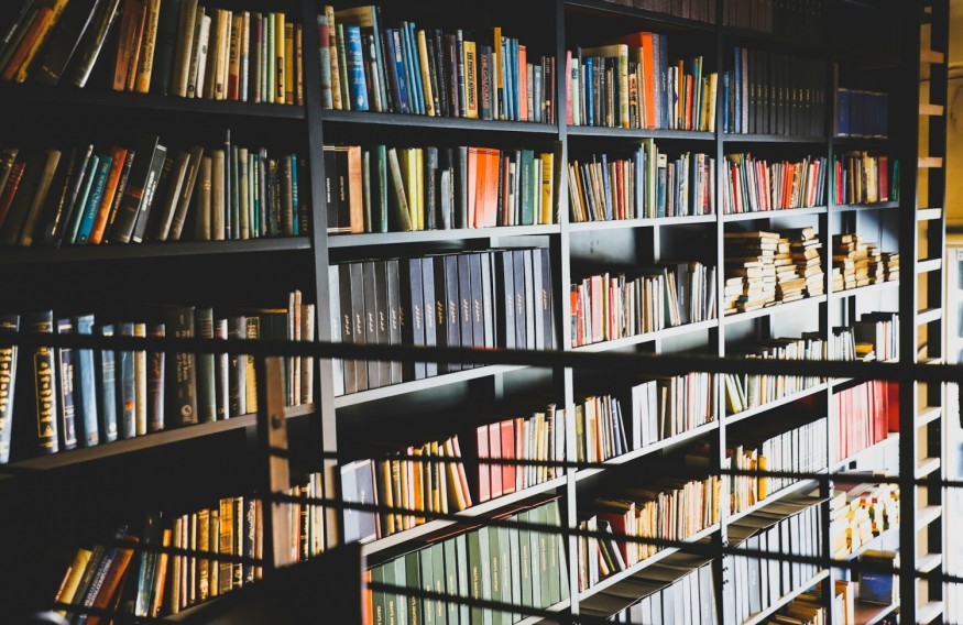 Movement Against Book Bans Grows in Minnesota, Proposes 'Ban on Book Bans' Bill