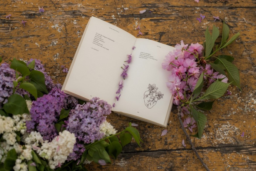 5 Indie Press Books Worth Adding to Your Spring Reading List
