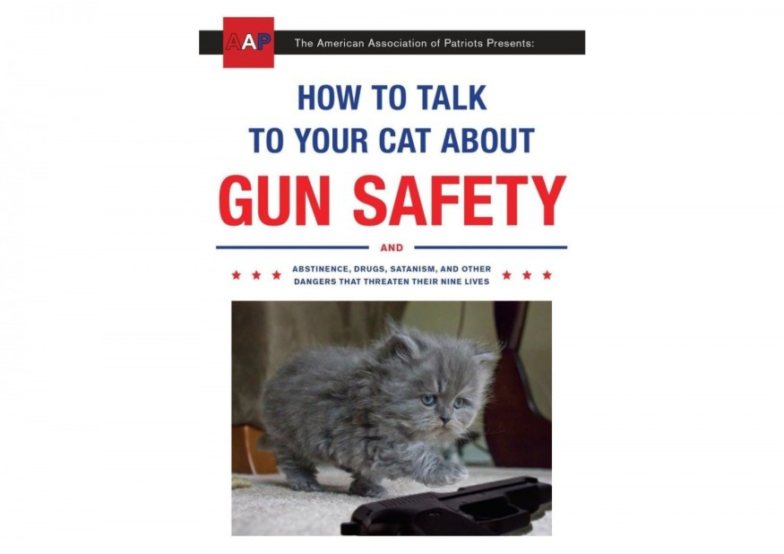 ‘How to Talk to Your Cat About Gun Safety’ by Zachary Auburn Book Review: A Satirical Guide on Feline Safety