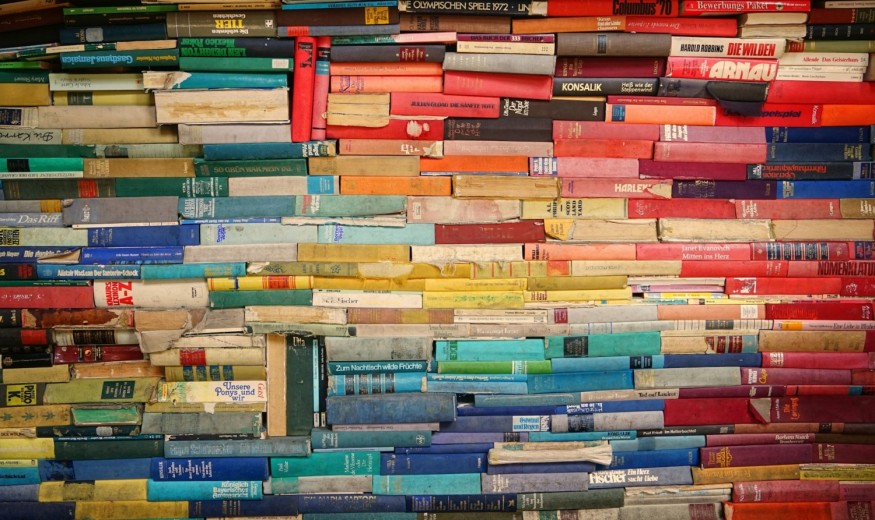 LGBTQ+ Librarians Face Growing Hostility Amid National Book Censorship Campaigns