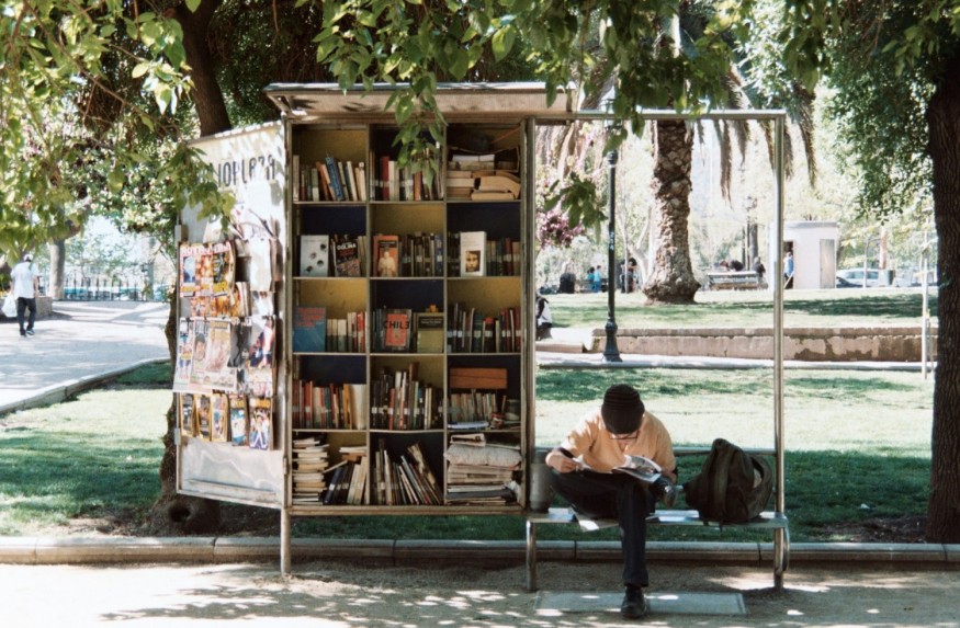 5 Must-Reads to Enhance Your Summer Music Festival Experience